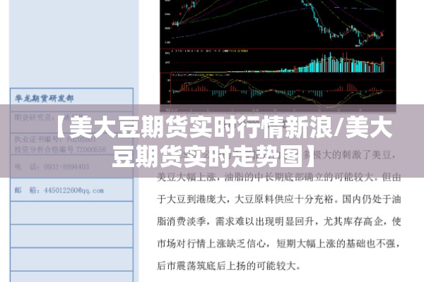 【美大豆期货实时行情新浪/美大豆期货实时走势图】