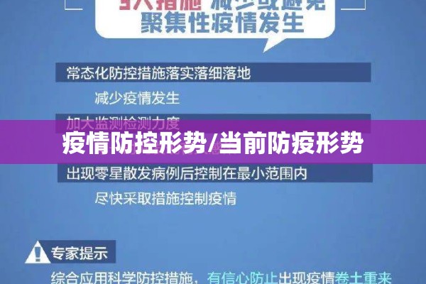 疫情防控形势/当前防疫形势