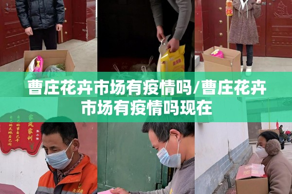 曹庄花卉市场有疫情吗/曹庄花卉市场有疫情吗现在 曹庄花卉市场有疫情吗/曹庄花卉市场有疫情吗现在