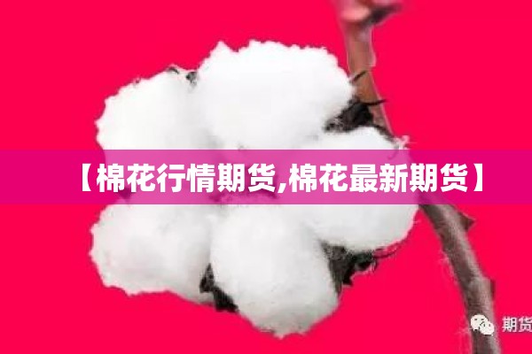 【棉花行情期货,棉花最新期货】 【棉花行情期货,棉花最新期货】