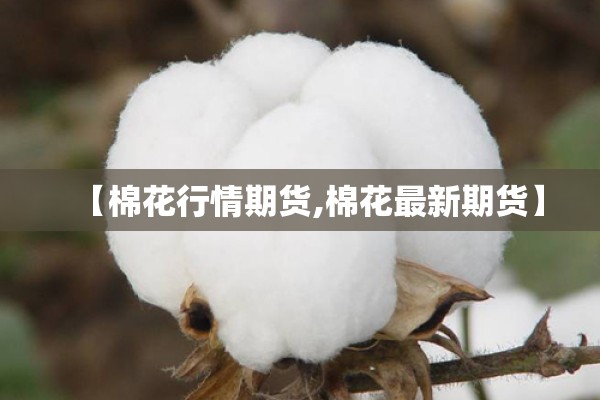 【棉花行情期货,棉花最新期货】 【棉花行情期货,棉花最新期货】