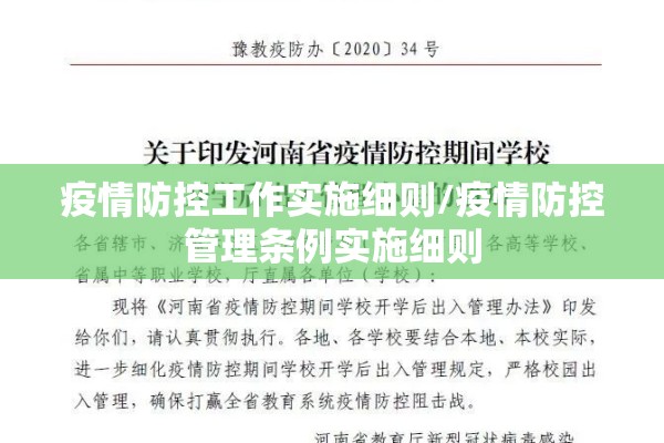 疫情防控工作实施细则/疫情防控管理条例实施细则 疫情防控工作实施细则/疫情防控管理条例实施细则