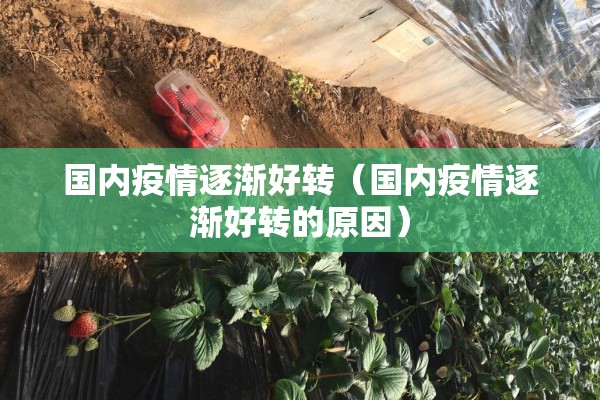 国内疫情逐渐好转（国内疫情逐渐好转的原因）