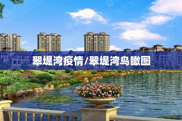 翠堤湾疫情/翠堤湾鸟瞰图
