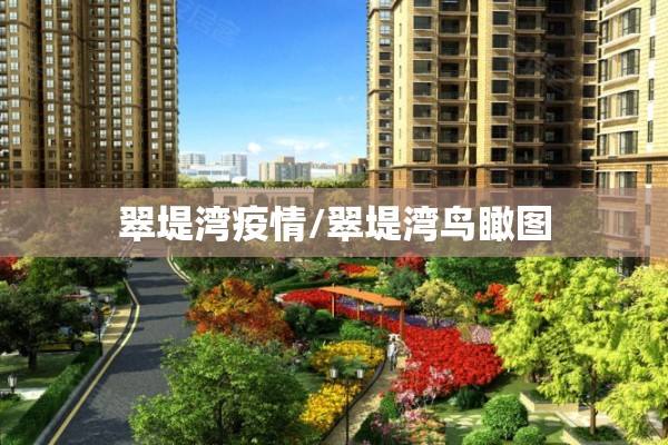 翠堤湾疫情/翠堤湾鸟瞰图