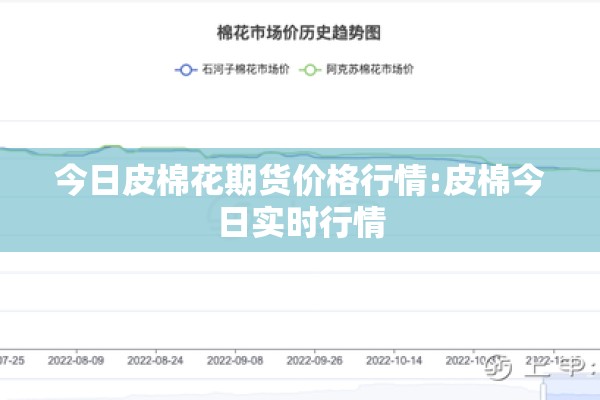 今日皮棉花期货价格行情:皮棉今日实时行情