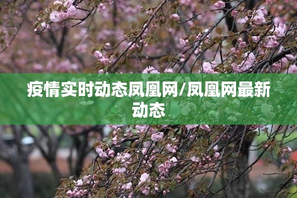 疫情实时动态凤凰网/凤凰网最新动态 疫情实时动态凤凰网/凤凰网最新动态