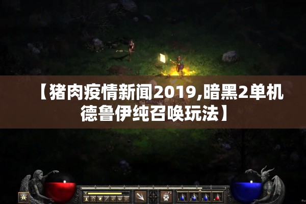 【猪肉疫情新闻2019,暗黑2单机德鲁伊纯召唤玩法】