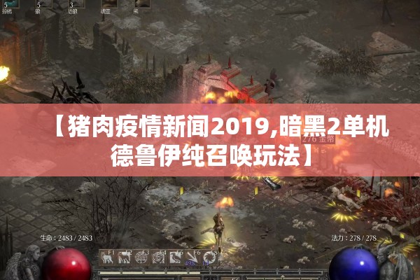 【猪肉疫情新闻2019,暗黑2单机德鲁伊纯召唤玩法】