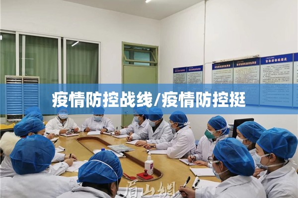 疫情防控战线/疫情防控挺