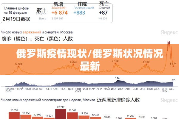 俄罗斯疫情现状/俄罗斯状况情况最新