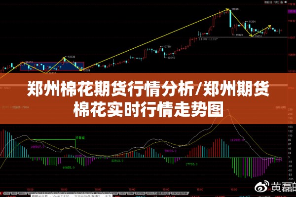 郑州棉花期货行情分析/郑州期货棉花实时行情走势图