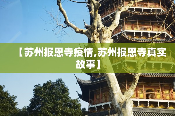 【苏州报恩寺疫情,苏州报恩寺真实故事】