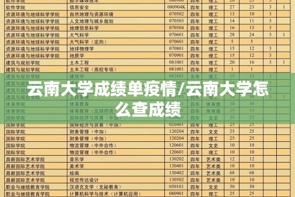 云南大学成绩单疫情/云南大学怎么查成绩 云南大学成绩单疫情/云南大学怎么查成绩