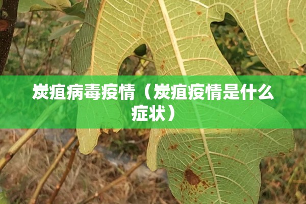 炭疽病毒疫情(炭疽疫情是什么症状) 炭疽病毒疫情(炭疽疫情是什么症状)