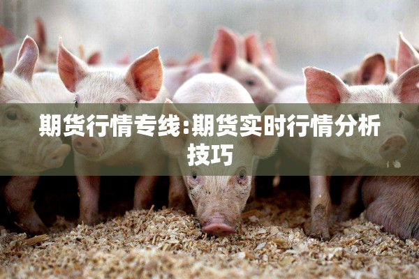期货行情专线:期货实时行情分析技巧