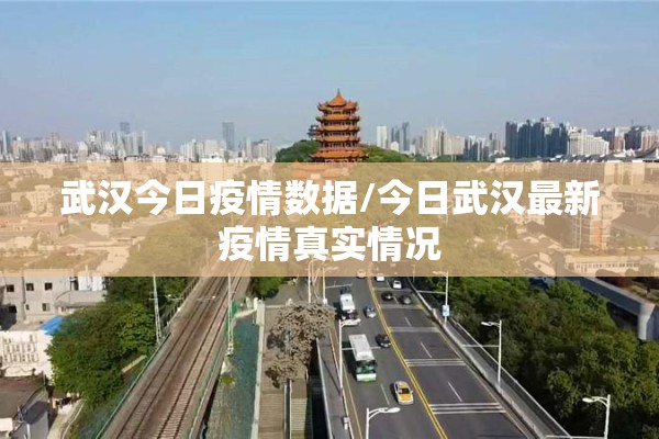 武汉今日疫情数据/今日武汉最新疫情真实情况 武汉今日疫情数据/今日武汉最新疫情真实情况