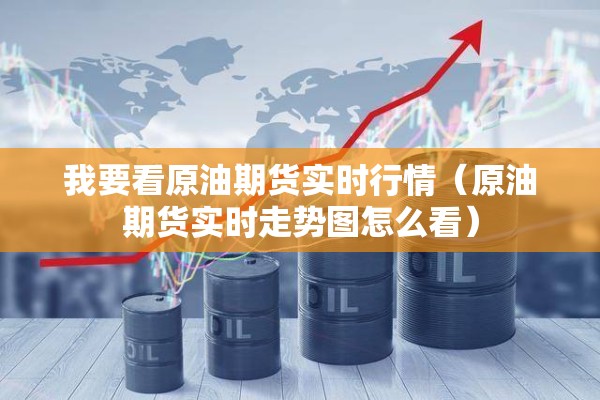 我要看原油期货实时行情（原油期货实时走势图怎么看）