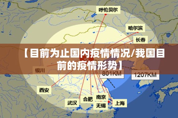 【目前为止国内疫情情况/我国目前的疫情形势】