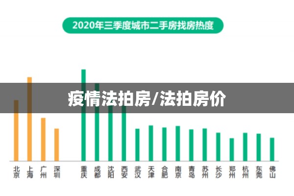 疫情法拍房/法拍房价