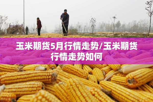 玉米期货5月行情走势/玉米期货行情走势如何 玉米期货5月行情走势/玉米期货行情走势如何