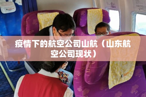 疫情下的航空公司山航（山东航空公司现状）