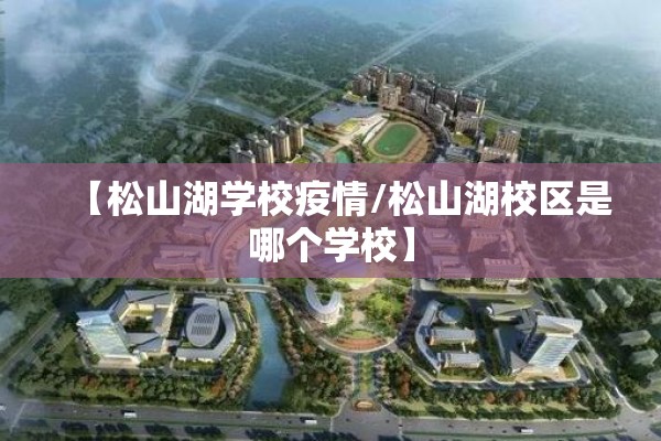 【松山湖学校疫情/松山湖校区是哪个学校】