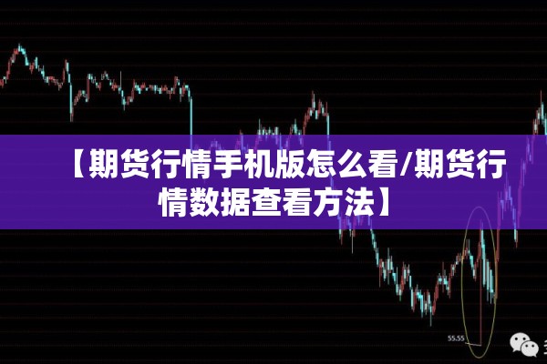 【期货行情手机版怎么看/期货行情数据查看方法】
