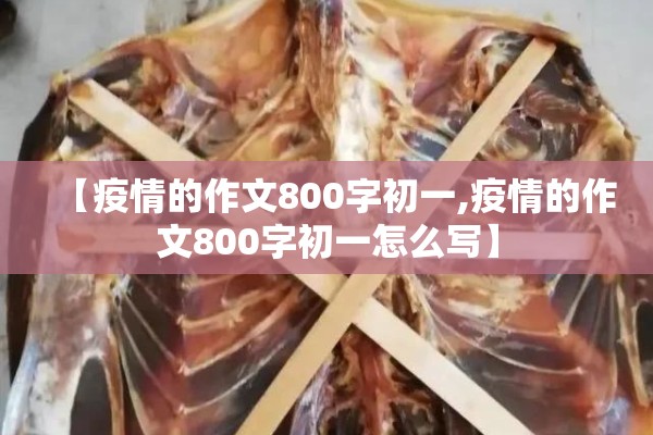 【疫情的作文800字初一,疫情的作文800字初一怎么写】