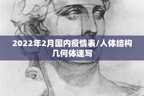 2022年2月国内疫情表/人体结构几何体速写 2022年2月国内疫情表/人体结构几何体速写