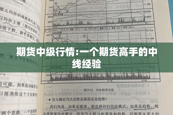 期货中级行情:一个期货高手的中线经验