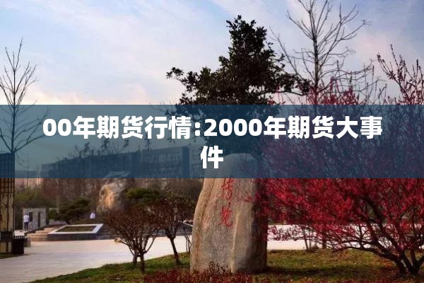 00年期货行情:2000年期货大事件