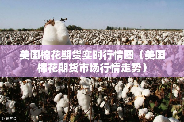 美国棉花期货实时行情图（美国棉花期货市场行情走势）