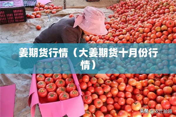 姜期货行情（大姜期货十月份行情）