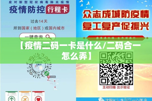 【疫情二码一卡是什么/二码合一怎么弄】 【疫情二码一卡是什么/二码合一怎么弄】