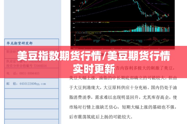 美豆指数期货行情/美豆期货行情实时更新