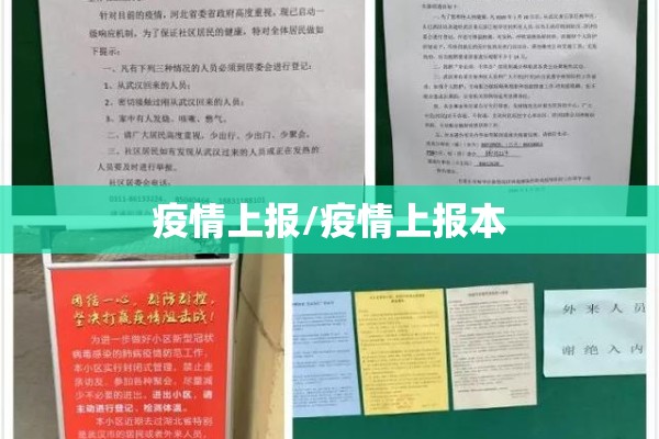 疫情上报/疫情上报本