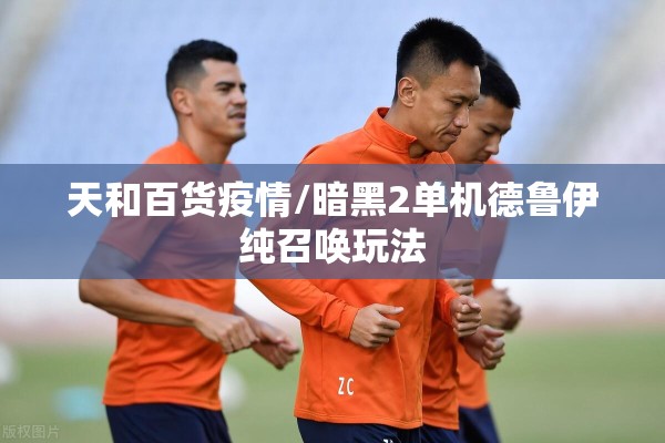 天和百货疫情/暗黑2单机德鲁伊纯召唤玩法