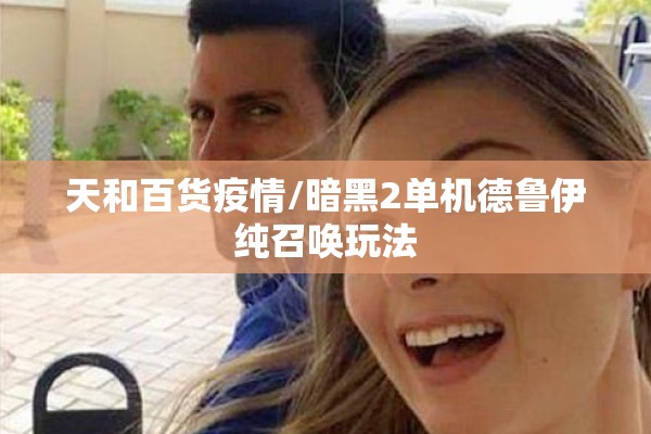 天和百货疫情/暗黑2单机德鲁伊纯召唤玩法