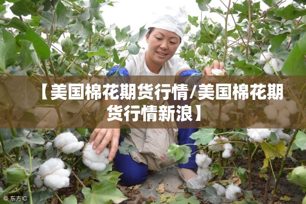【美国棉花期货行情/美国棉花期货行情新浪】 【美国棉花期货行情/美国棉花期货行情新浪】