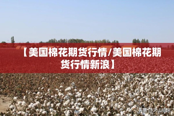 【美国棉花期货行情/美国棉花期货行情新浪】 【美国棉花期货行情/美国棉花期货行情新浪】