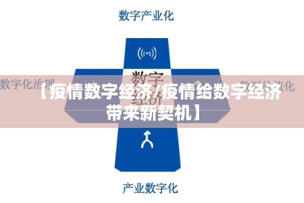 【疫情数字经济/疫情给数字经济带来新契机】 【疫情数字经济/疫情给数字经济带来新契机】
