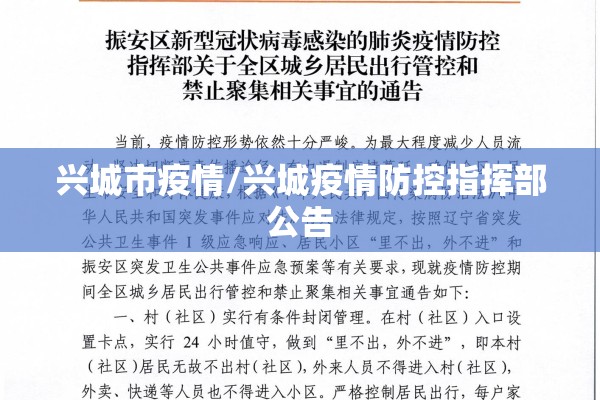 兴城市疫情/兴城疫情防控指挥部公告 兴城市疫情/兴城疫情防控指挥部公告