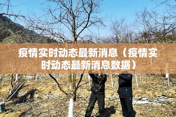 疫情实时动态最新消息(疫情实时动态最新消息数据) 疫情实时动态最新消息(疫情实时动态最新消息数据)