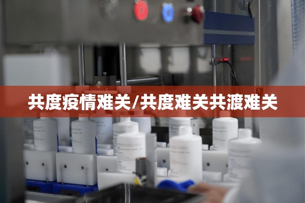 共度疫情难关/共度难关共渡难关