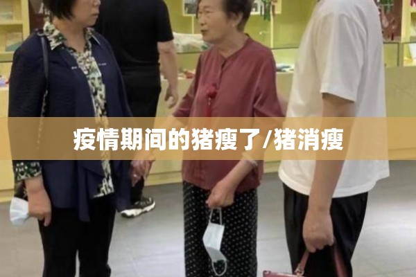 疫情期间的猪瘦了/猪消瘦 疫情期间的猪瘦了/猪消瘦