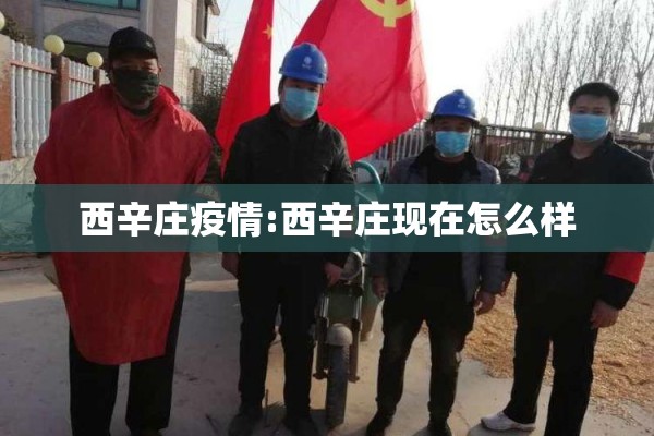 西辛庄疫情:西辛庄现在怎么样
