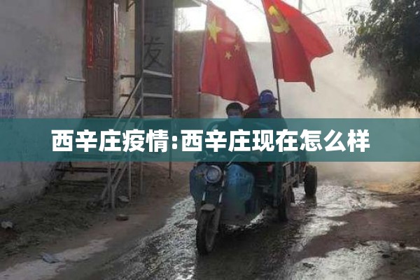 西辛庄疫情:西辛庄现在怎么样