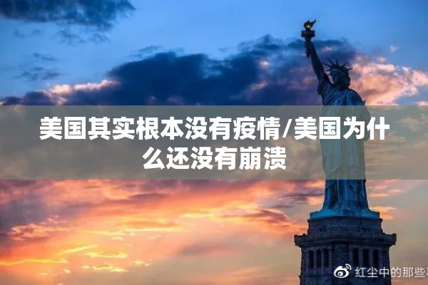 美国其实根本没有疫情/美国为什么还没有崩溃 美国其实根本没有疫情/美国为什么还没有崩溃