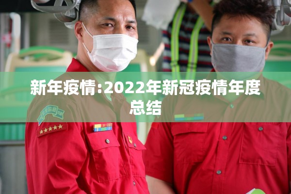 新年疫情:2022年新冠疫情年度总结